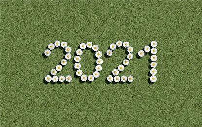 《怪物猎人：崛起》新随从猫狗上线 参考海外玩家意见制作